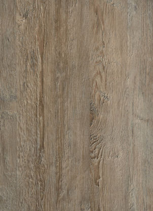 Picture of 9316 Pine Brown