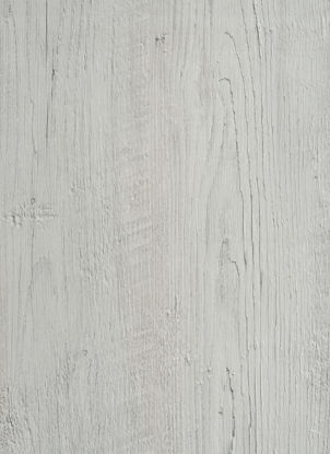 Picture of 9317 Canyon Greyish