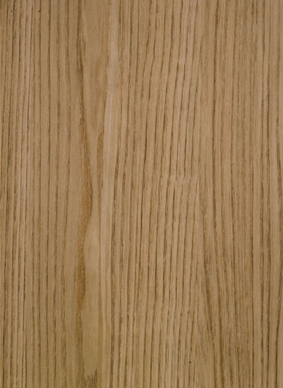 Picture of 9322 Elm Bright