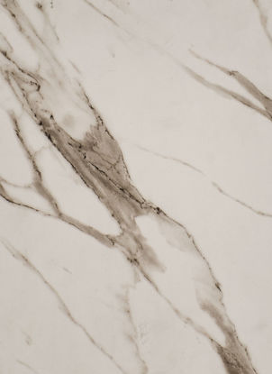 Picture of 2010 Bianco Marmo