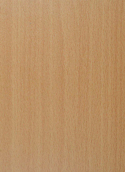 Picture of 0152 Natural Beech