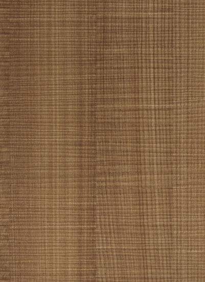 Picture of 3401 Madeira