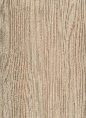 Picture of 0406 Dark Pine