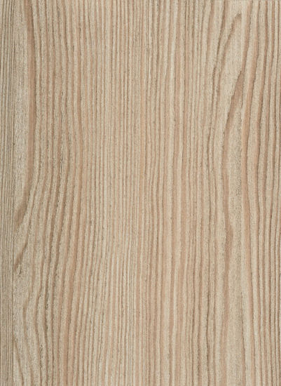 Picture of 0406 Dark Pine
