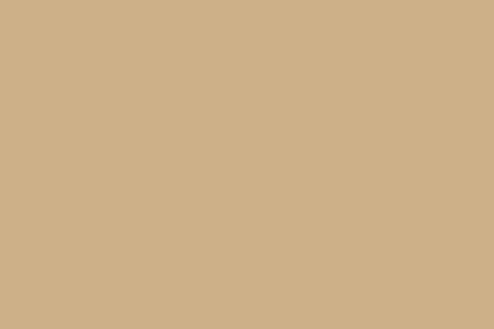 Picture of Super mat Desert beige S030