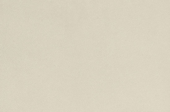 Picture of Welsh beige 7081