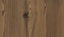 Picture of H3408 - ST38 - Thermo Brown Mountain Larch