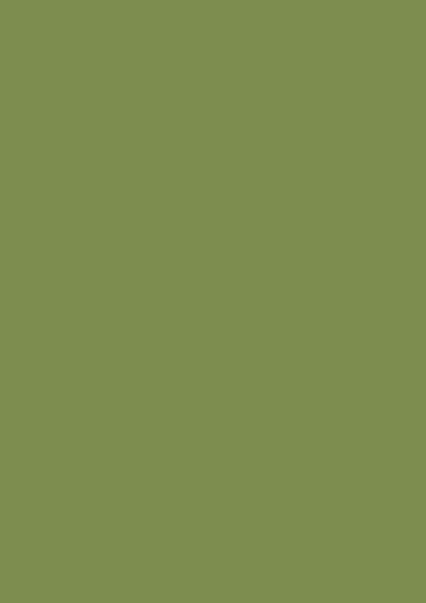 Picture of U626 - ST9 - Kiwi Green