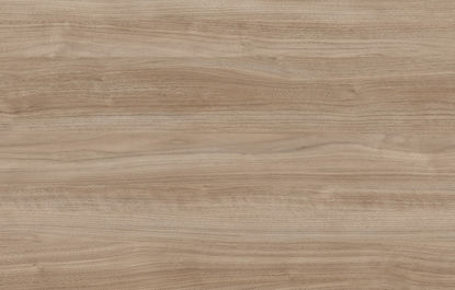 Picture of CH3009 AURORA ARGENTINA ROOT