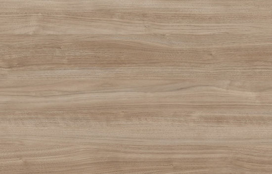 Picture of CH3009 AURORA ARGENTINA ROOT