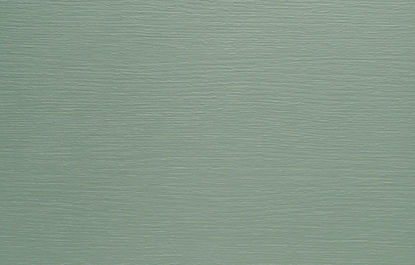 Picture of CH3022 AGAVE ROOT